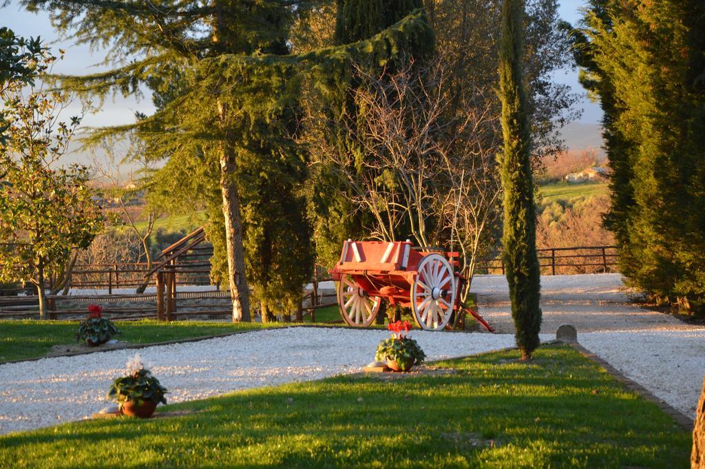 Agriturismo La Collina 피틸리아노 객실 사진