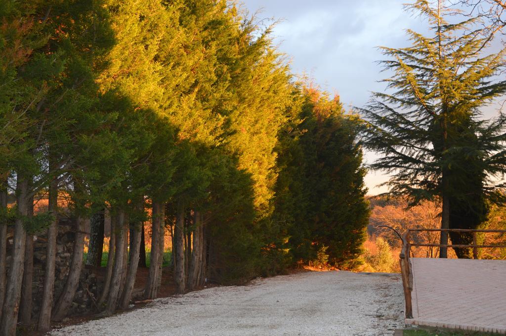 Agriturismo La Collina 피틸리아노 외부 사진